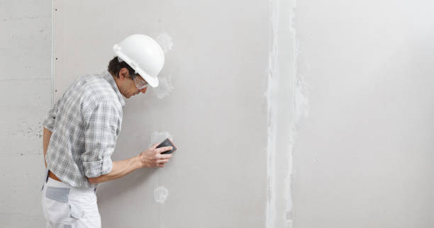 Best Fire-Damaged Drywall Repair  in Oronogo, MO