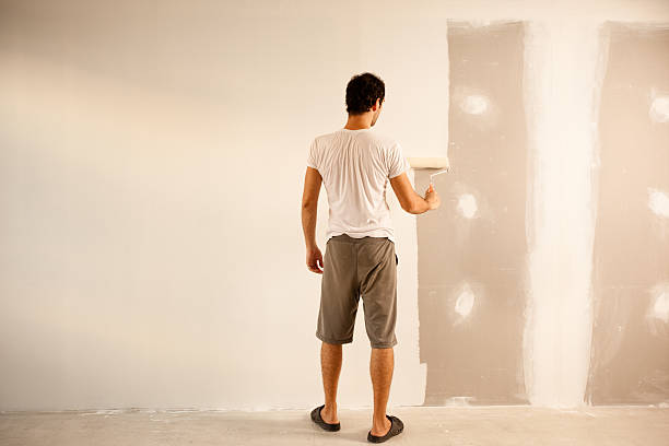 Best Eco-Friendly and Low-VOC Painting  in Oronogo, MO